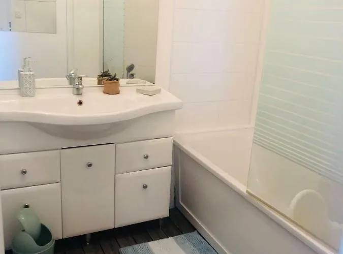 Apartment Superbe 3 Etoiles Debut Sanguinaires Ajaccio (Corsica)